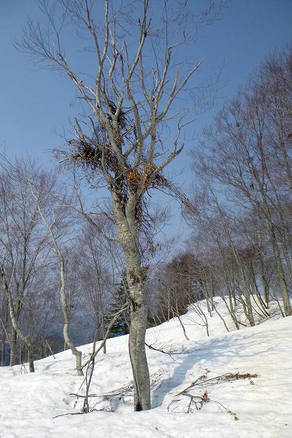 e0137200_18553613.jpg