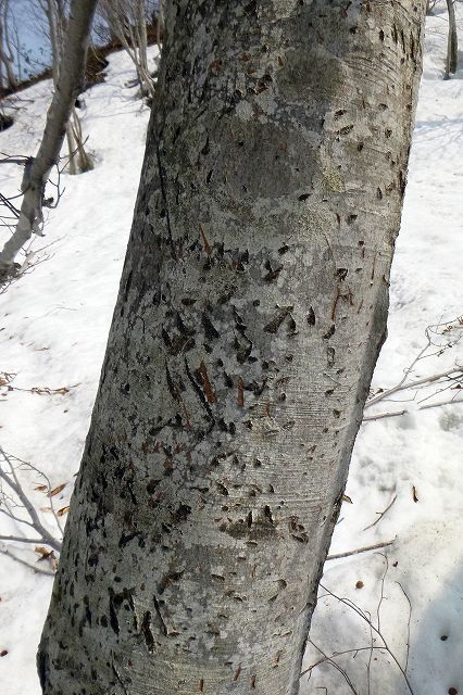 e0137200_18554732.jpg