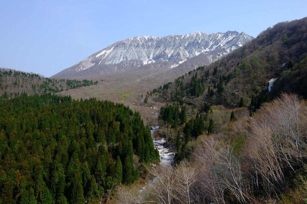 d0078203_17352761.jpg