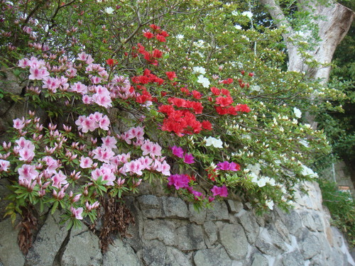a0019212_19423417.jpg
