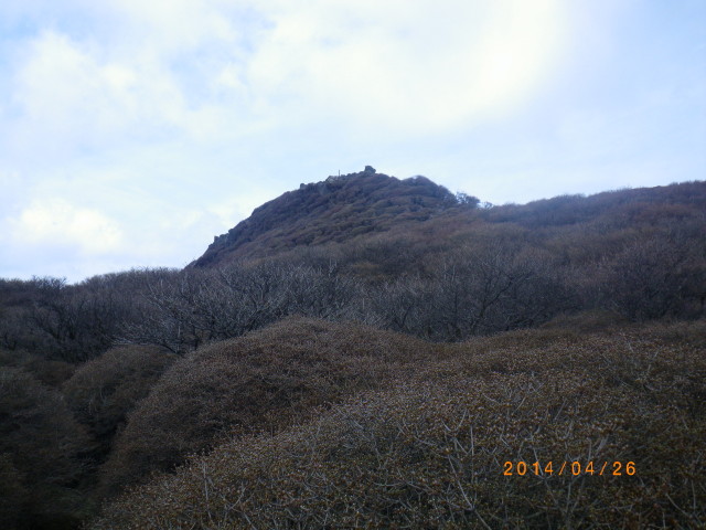 d0006512_19285030.jpg