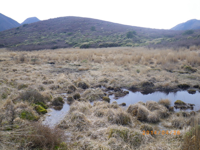 d0006512_1933571.jpg