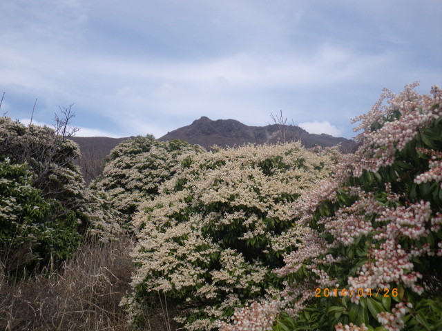 d0006512_1937533.jpg