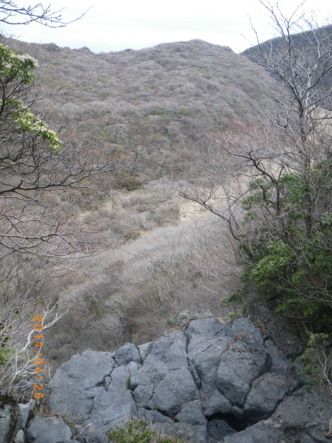 d0006512_1939499.jpg