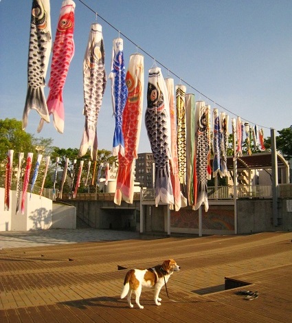 c0084117_1942582.jpg