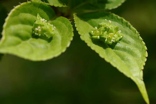 f0212217_21351695.jpg