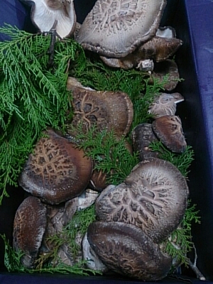b0204719_2272071.jpg