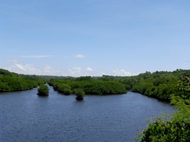 a0043520_1131126.jpg