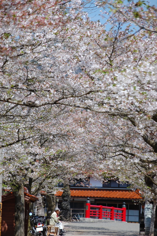 f0248120_12324018.jpg