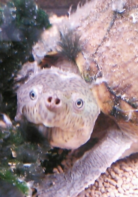 a0167335_20531122.jpg