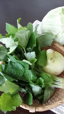 a0013236_13591624.jpg