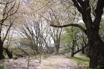 b0169238_20525128.jpg