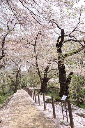 b0169238_20525781.jpg
