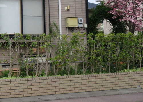 b0178339_23073984.jpg
