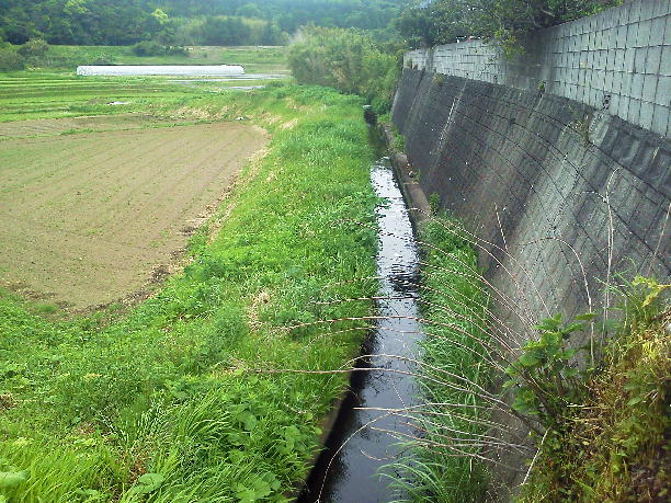 a0107341_1025459.jpg