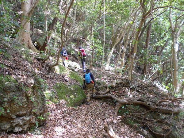 a0206345_8562876.jpg