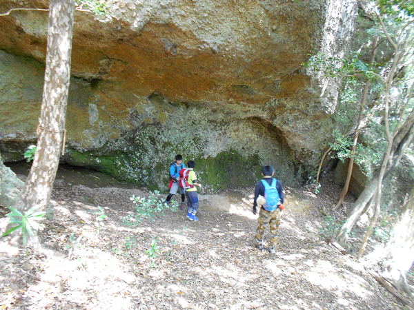 a0206345_8565787.jpg