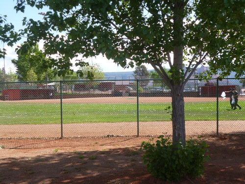 a0308646_1131562.jpg