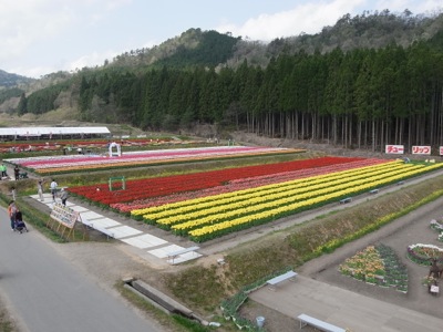 f0050651_20302557.jpg
