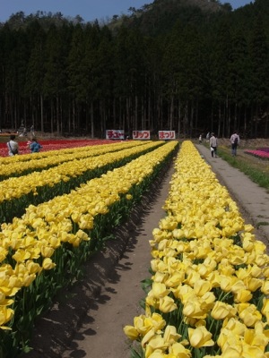 f0050651_2030286.jpg