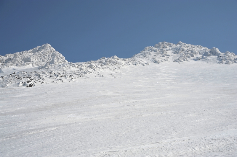 d0169556_22383746.jpg