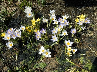 e0004756_2019086.jpg