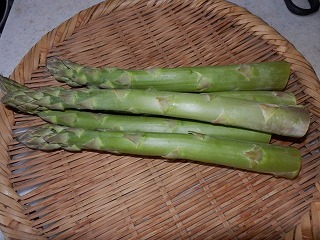 e0004756_20212833.jpg