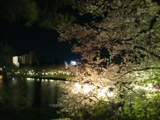 b0129860_0242596.jpg