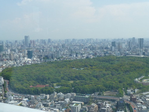c0100865_08350410.jpg