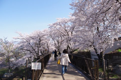 e0045768_2214389.jpg