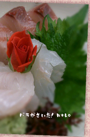 a0092074_20202792.png
