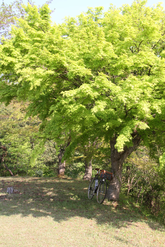 c0107075_21515217.jpg