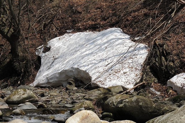 c0220175_12383752.jpg