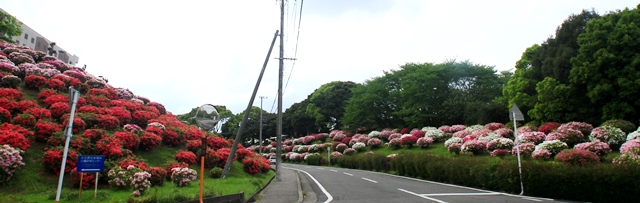 d0126577_19553724.jpg