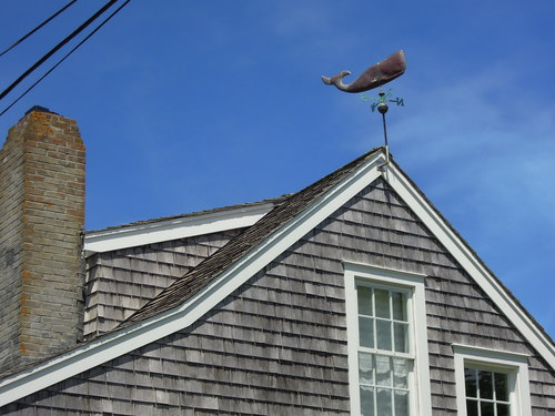 f0337677_213875.jpg