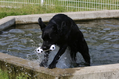 f0037378_22183285.jpg
