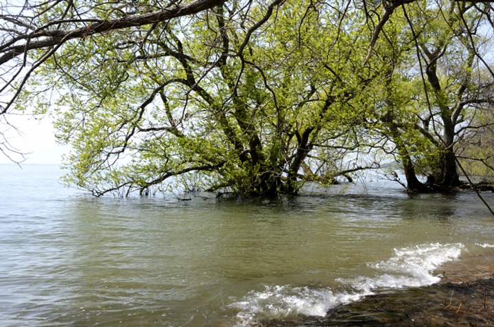 f0108478_20161545.jpg