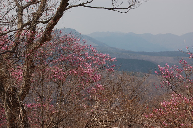 b0203588_21223568.jpg