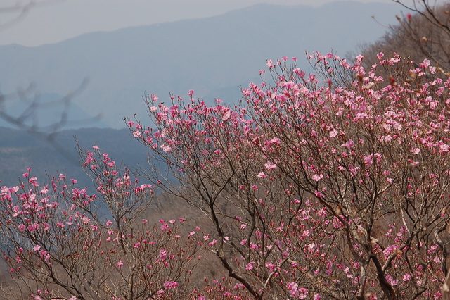 b0203588_2123423.jpg