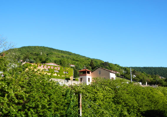 b0107891_17431469.jpg