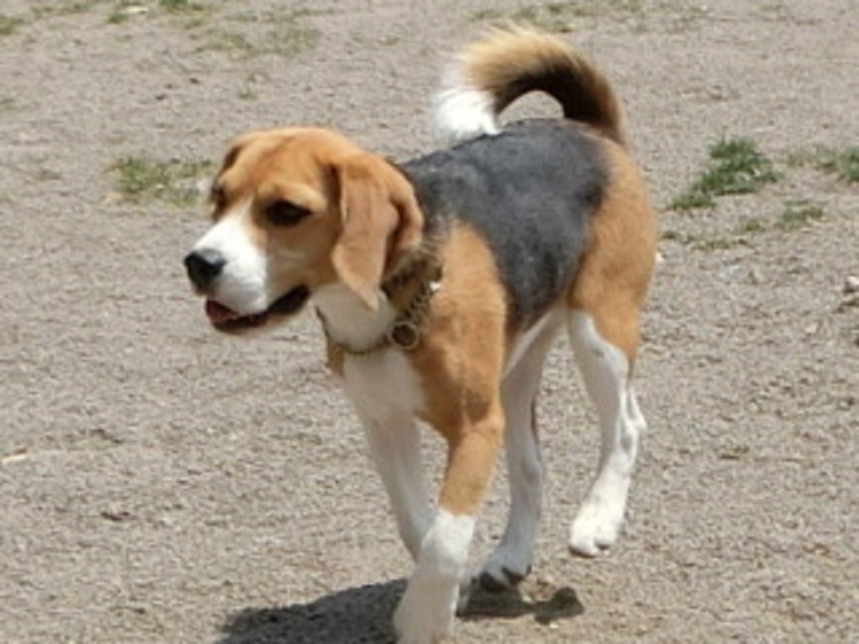 a0319693_21114319.jpg