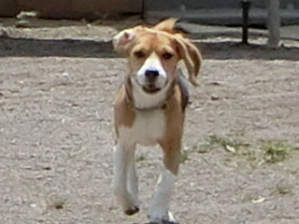 a0319693_21124755.jpg