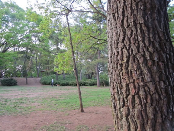 e0025596_20233250.jpg