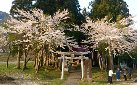 a0061599_775540.jpg