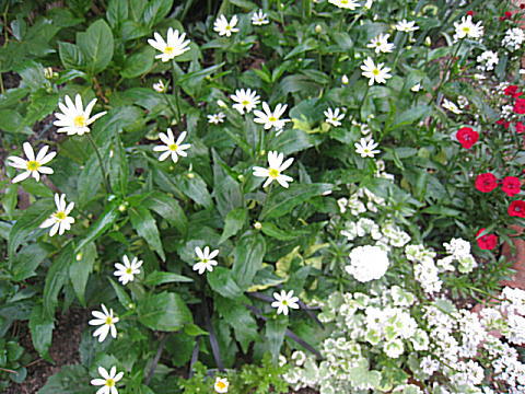 d0046702_18312126.jpg