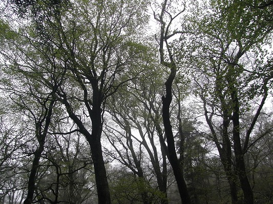 f0187402_2134114.jpg