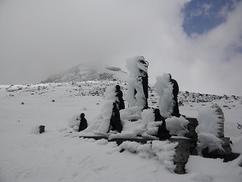 d0032405_2156085.jpg