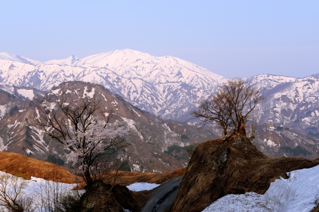 d0211108_7542498.jpg