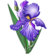 f0231709_10344070.png