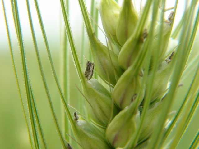 f0231709_1620109.jpg